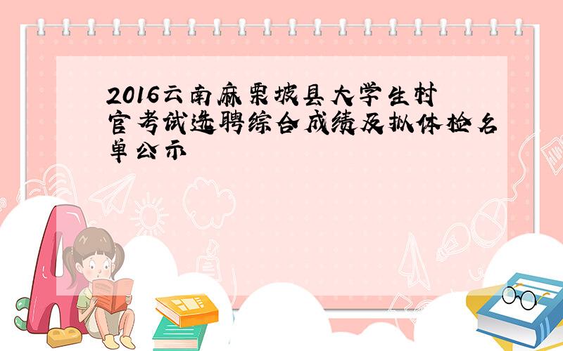 2016云南麻栗坡县大学生村官考试选聘综合成绩及拟体检名单公示