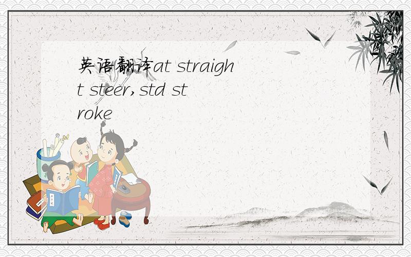 英语翻译at straight steer,std stroke