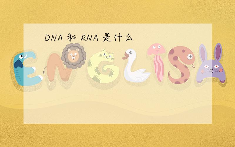 DNA 和 RNA 是什么