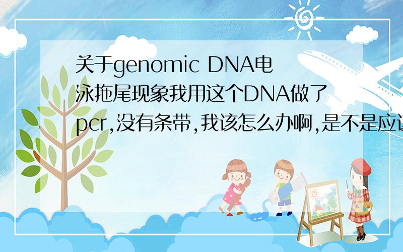 关于genomic DNA电泳拖尾现象我用这个DNA做了pcr,没有条带,我该怎么办啊,是不是应该把这些DNA电泳后切下,纯化?可是我一共有800ug啊,纯化得过来吗哭求解救办法,或者推荐能够纯化大量DNA的kit