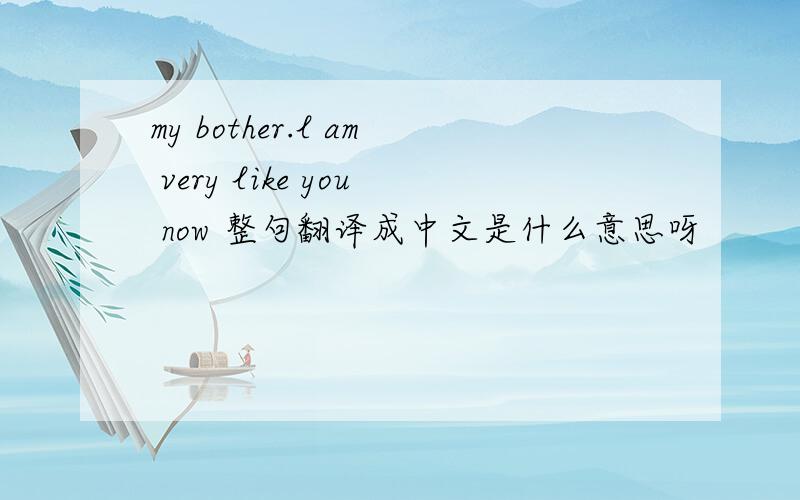 my bother.l am very like you now 整句翻译成中文是什么意思呀