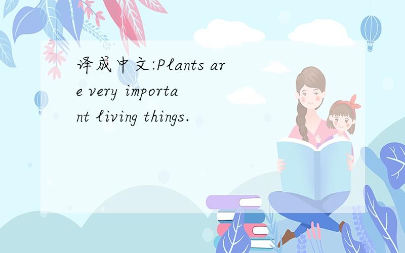 译成中文:Plants are very important living things.