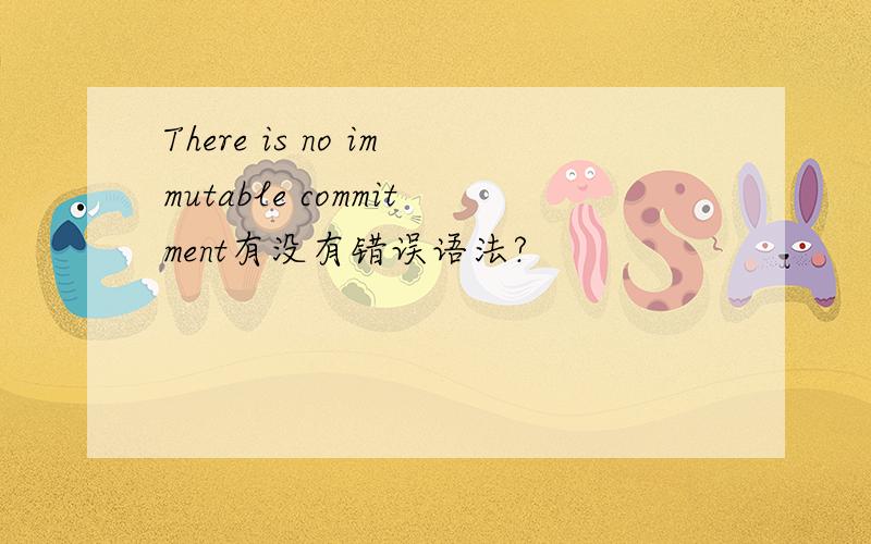 There is no immutable commitment有没有错误语法?