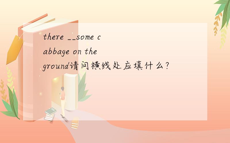 there __some cabbage on the ground请问横线处应填什么?