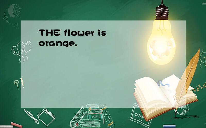 THE flower is orange.