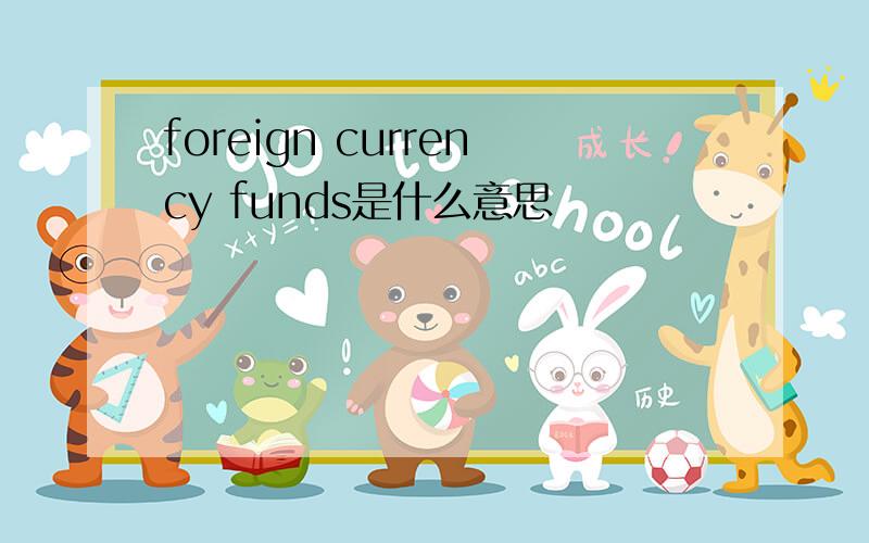 foreign currency funds是什么意思