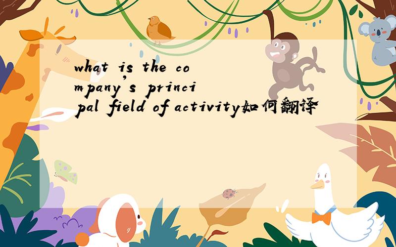 what is the company's principal field of activity如何翻译