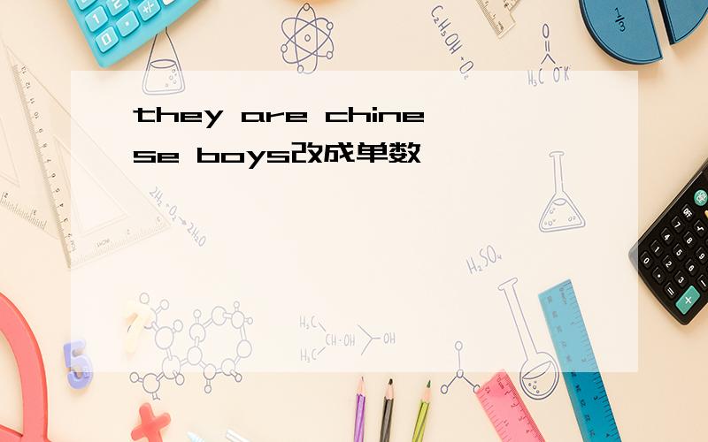 they are chinese boys改成单数