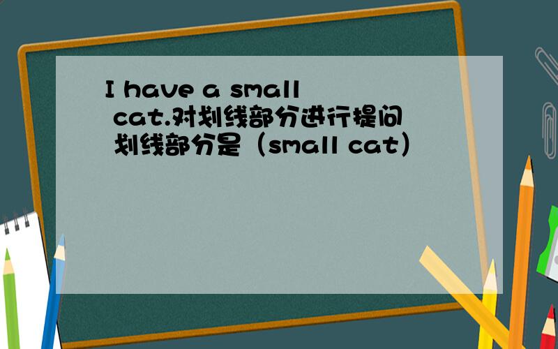 I have a small cat.对划线部分进行提问 划线部分是（small cat）