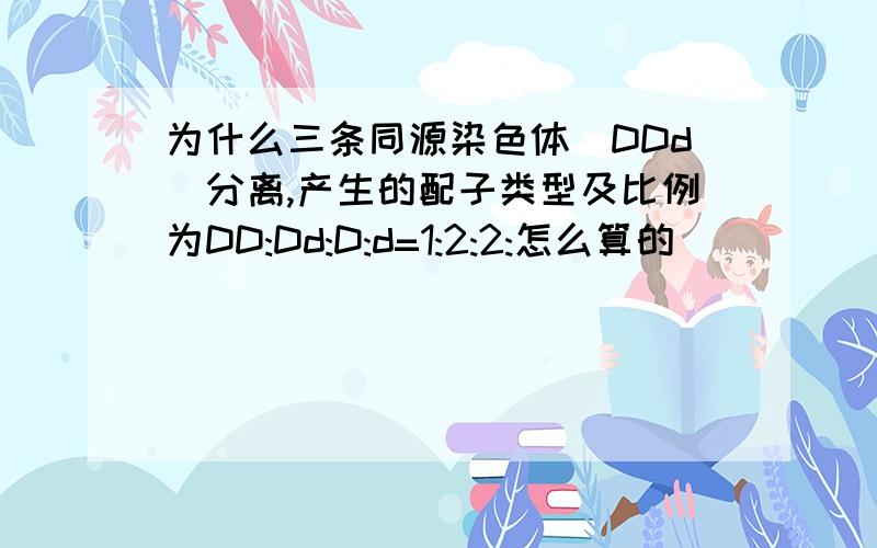 为什么三条同源染色体(DDd)分离,产生的配子类型及比例为DD:Dd:D:d=1:2:2:怎么算的