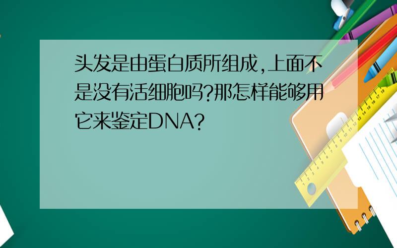 头发是由蛋白质所组成,上面不是没有活细胞吗?那怎样能够用它来鉴定DNA?