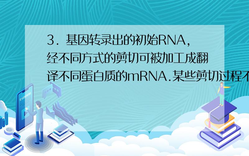 3．基因转录出的初始RNA,经不同方式的剪切可被加工成翻译不同蛋白质的mRNA.某些剪切过程不需要蛋白质性质的酶参与.大多数真核细胞mRNA只在个体发育的某一阶段合成,不同的mRNA合成后以不