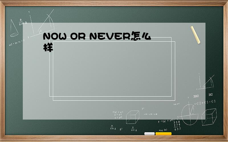 NOW OR NEVER怎么样