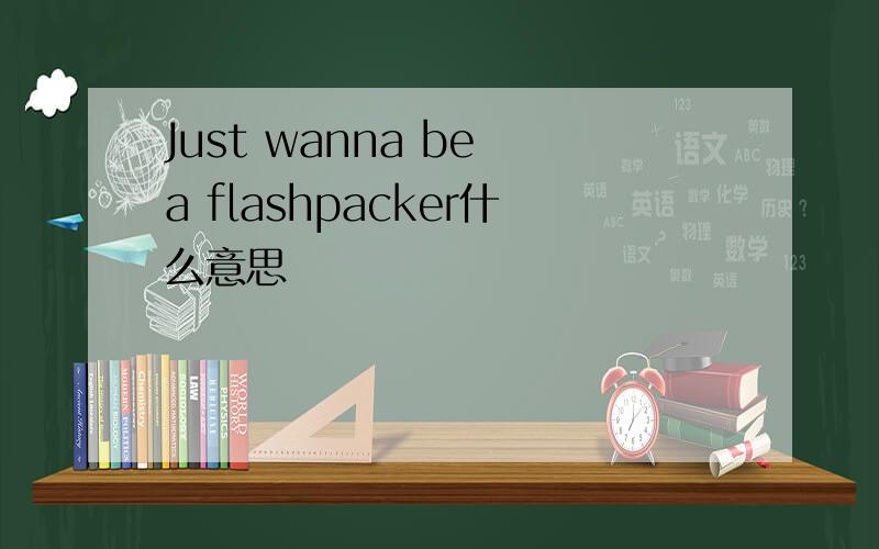 Just wanna be a flashpacker什么意思