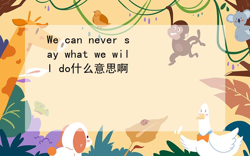 We can never say what we will do什么意思啊