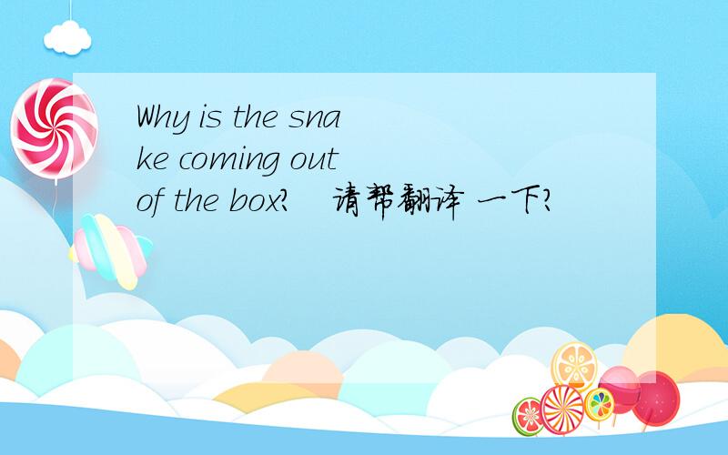 Why is the snake coming out of the box?   请帮翻译 一下?