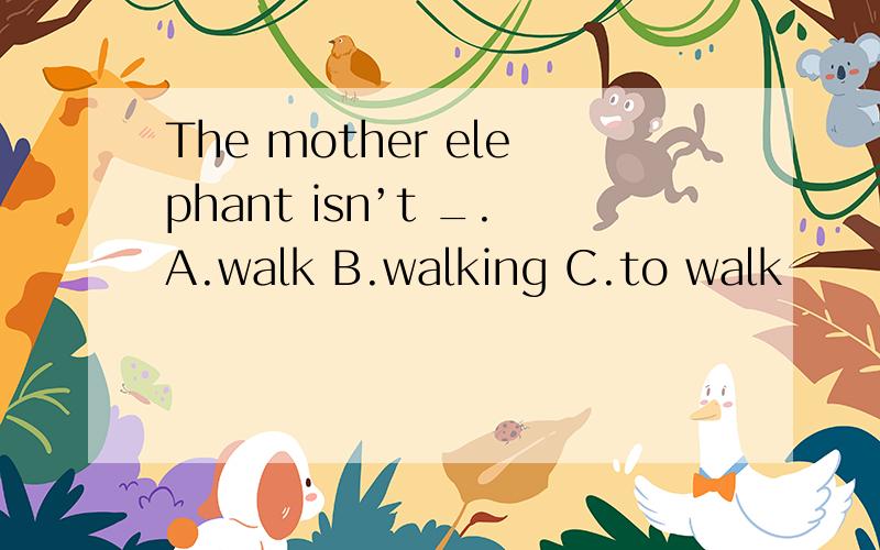 The mother elephant isn’t _.A.walk B.walking C.to walk