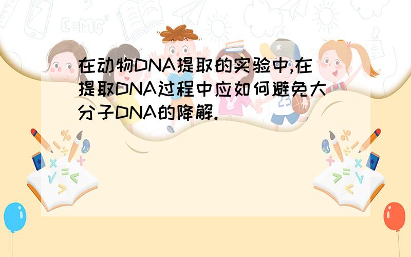 在动物DNA提取的实验中,在提取DNA过程中应如何避免大分子DNA的降解.