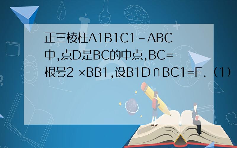正三棱柱A1B1C1-ABC中,点D是BC的中点,BC=根号2 ×BB1,设B1D∩BC1=F.（1）求证：A1C‖平面AB1D（2)求证：BC1⊥平面AB1D本人比较笨