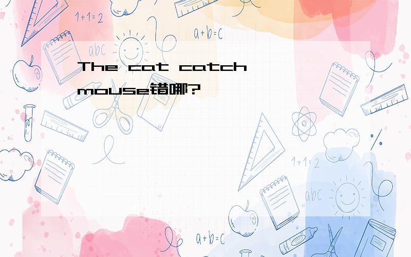 The cat catch mouse错哪?