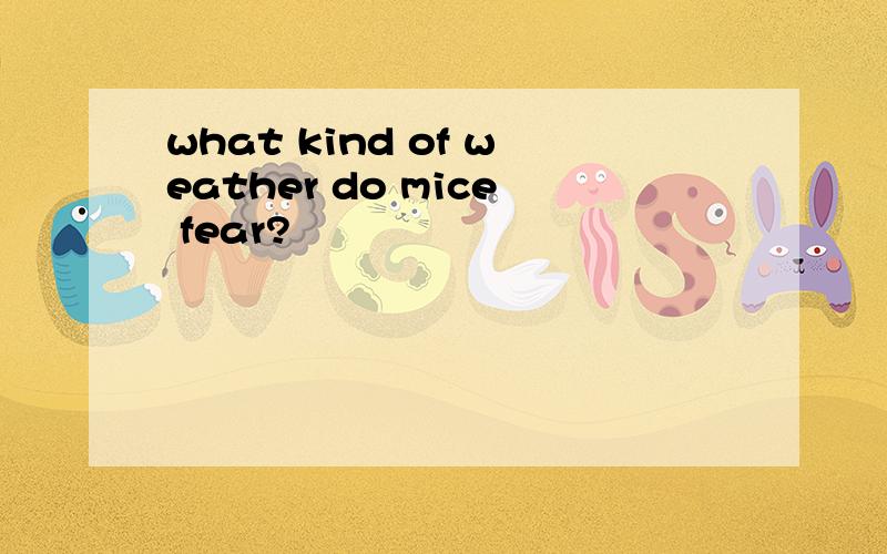 what kind of weather do mice fear?