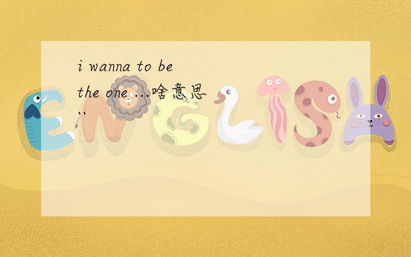i wanna to be the one ...啥意思``
