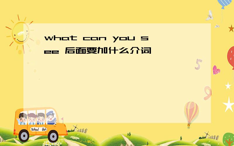 what can you see 后面要加什么介词