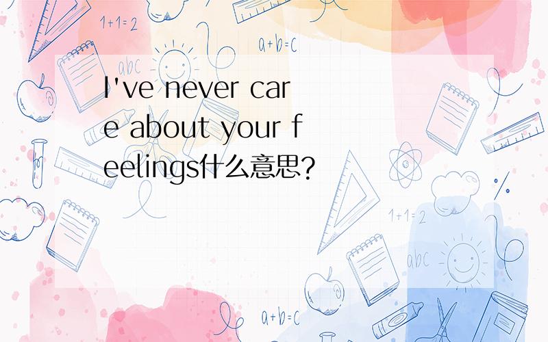 I've never care about your feelings什么意思?