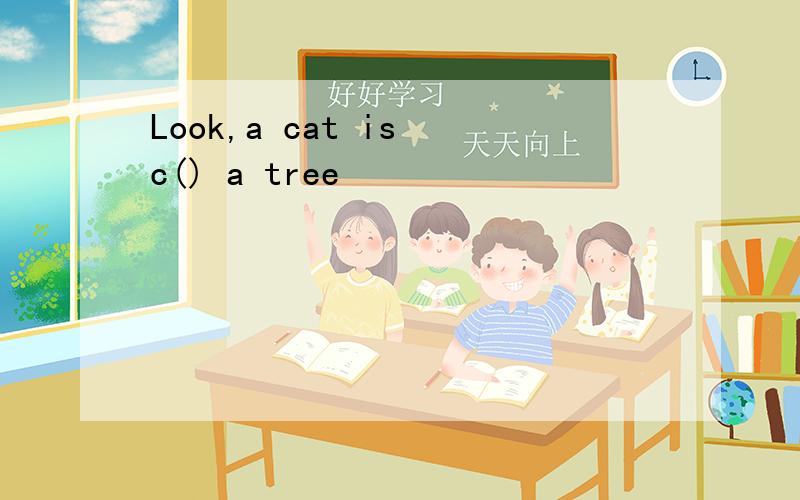 Look,a cat is c() a tree