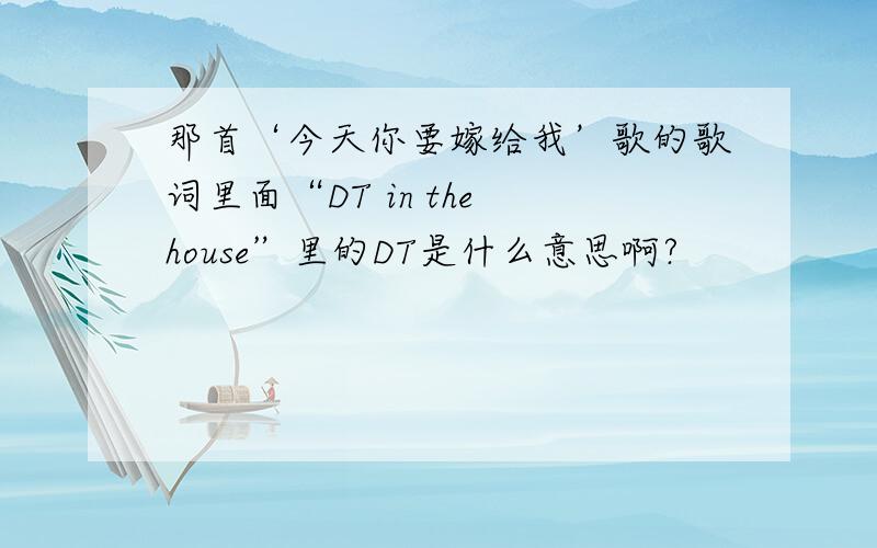 那首‘今天你要嫁给我’歌的歌词里面“DT in the house”里的DT是什么意思啊?