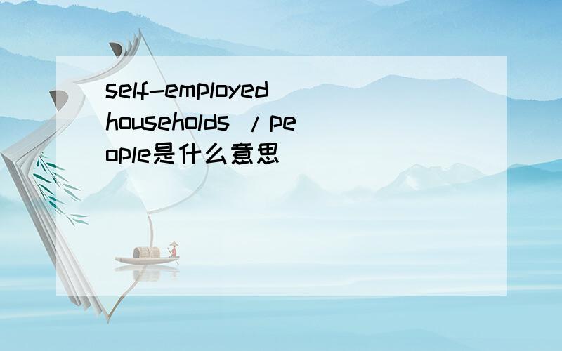 self-employed households /people是什么意思