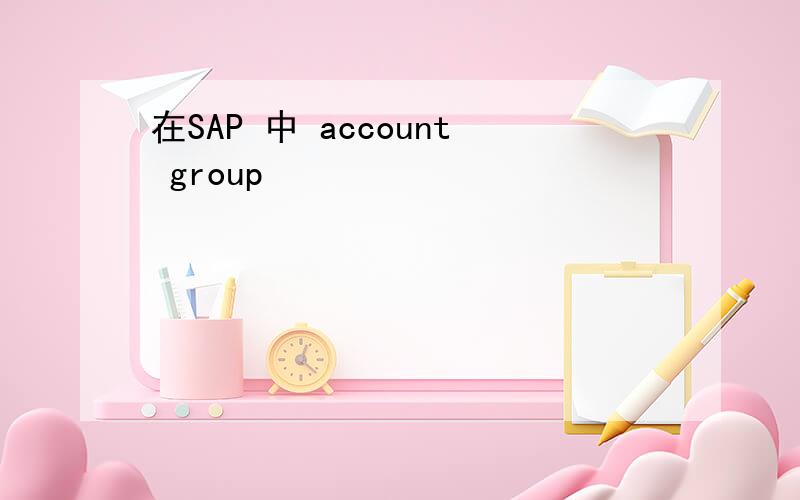 在SAP 中 account group