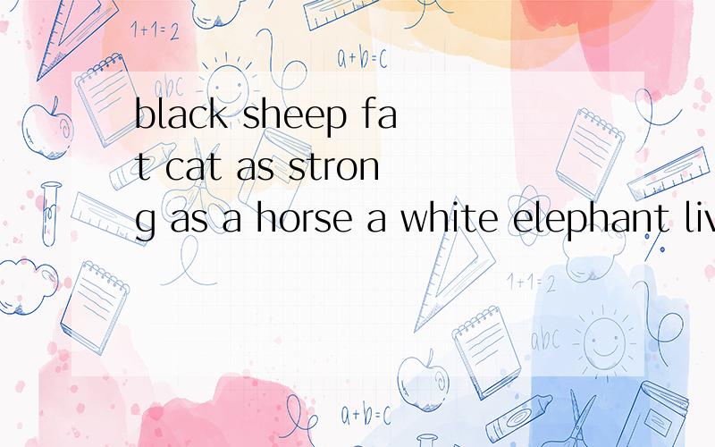 black sheep fat cat as strong as a horse a white elephant live a dog,s life