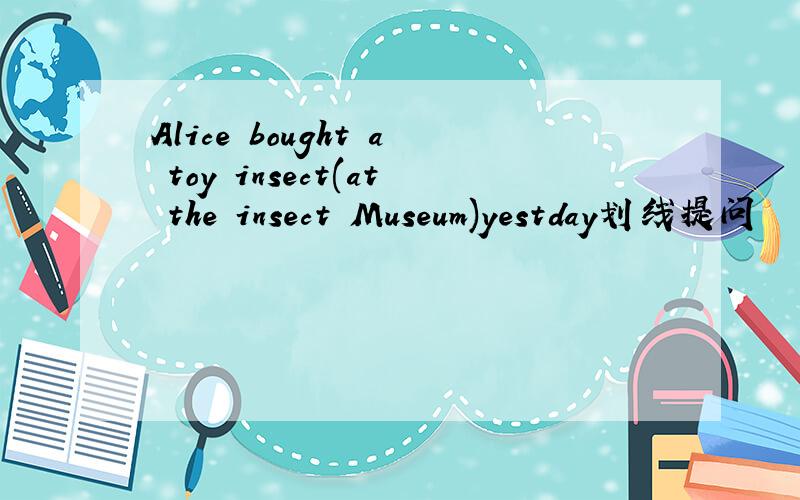 Alice bought a toy insect(at the insect Museum)yestday划线提问