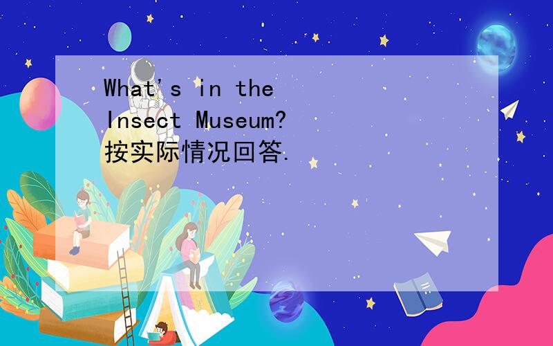 What's in the Insect Museum?按实际情况回答.