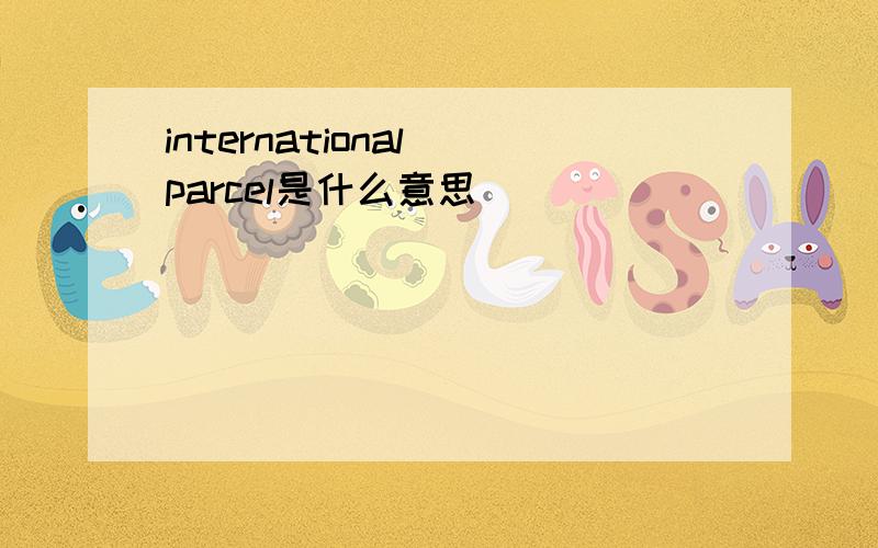 international parcel是什么意思