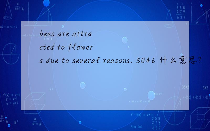 bees are attracted to flowers due to several reasons. 5046 什么意思?