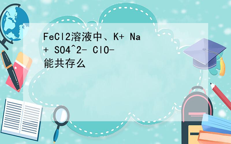 FeCl2溶液中、K+ Na+ SO4^2- ClO- 能共存么