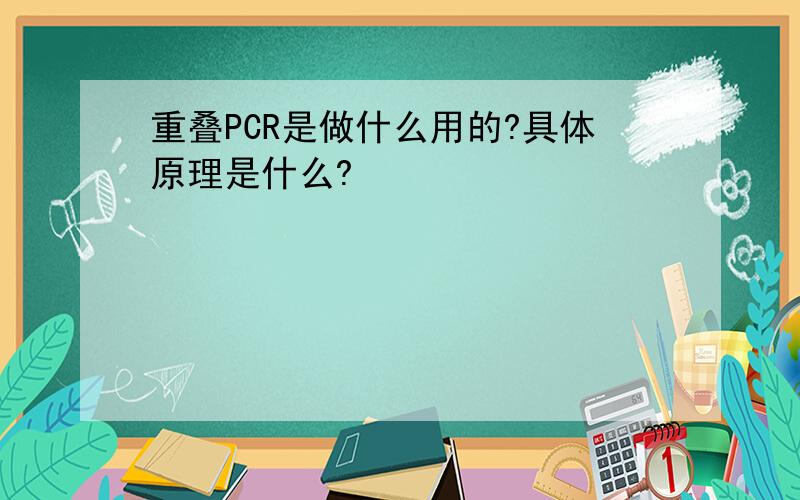 重叠PCR是做什么用的?具体原理是什么?