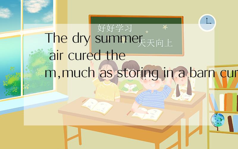 The dry summer air cured them,much as storing in a barn cured the cyltivated grasses.cure在这.第二个cure前怎么不用to ,storing是储藏的意思吧?as much