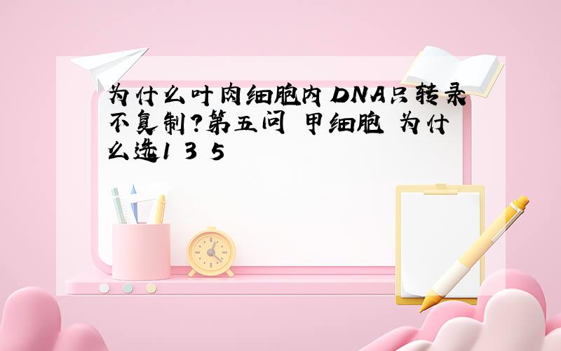 为什么叶肉细胞内DNA只转录不复制?第五问 甲细胞 为什么选1 3 5