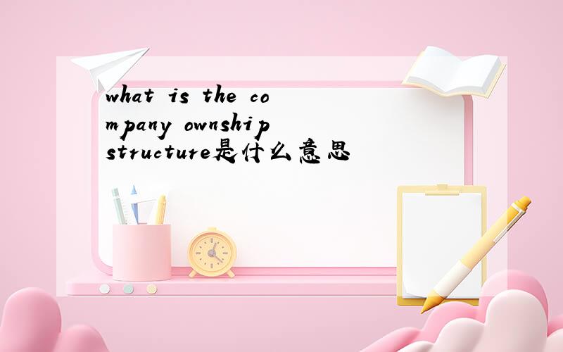 what is the company ownship structure是什么意思
