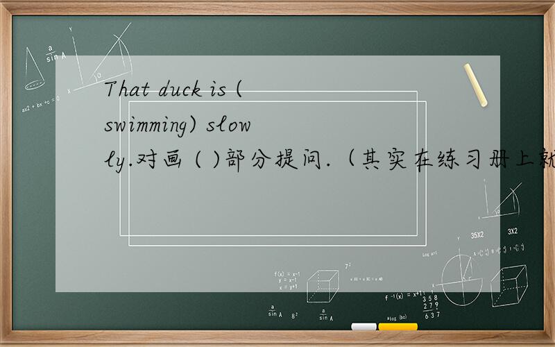 That duck is (swimming) slowly.对画 ( )部分提问.（其实在练习册上就是对画线部分提问）