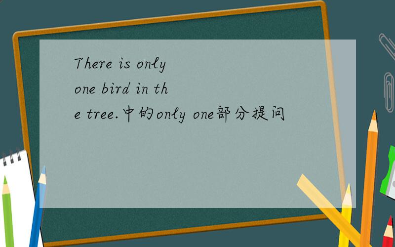 There is only one bird in the tree.中的only one部分提问