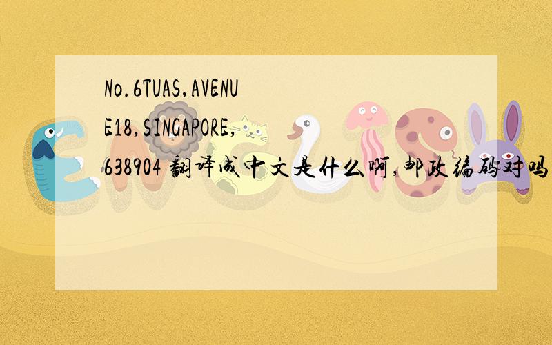 No.6TUAS,AVENUE18,SINGAPORE,638904 翻译成中文是什么啊,邮政编码对吗