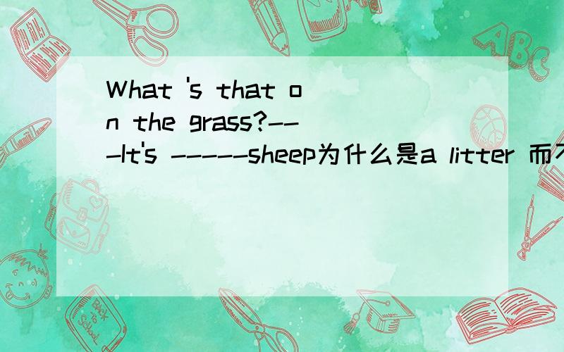 What 's that on the grass?---It's -----sheep为什么是a litter 而不是a few,不可数吗