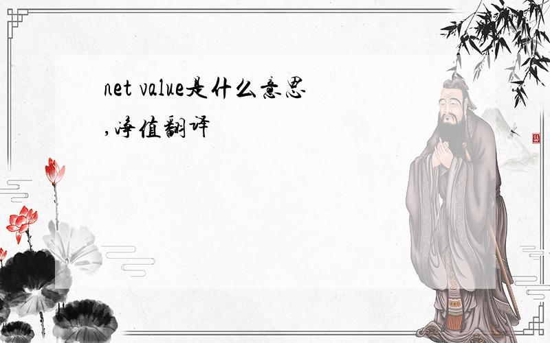 net value是什么意思,净值翻译