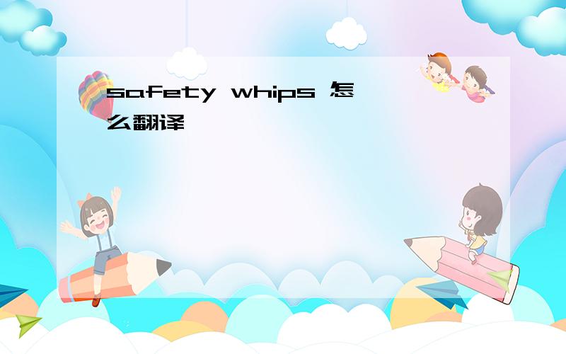 safety whips 怎么翻译
