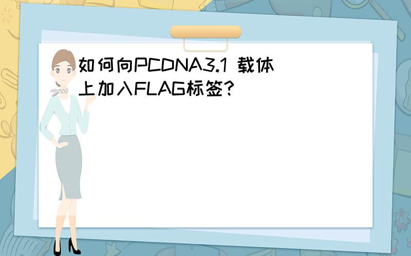 如何向PCDNA3.1 载体上加入FLAG标签?