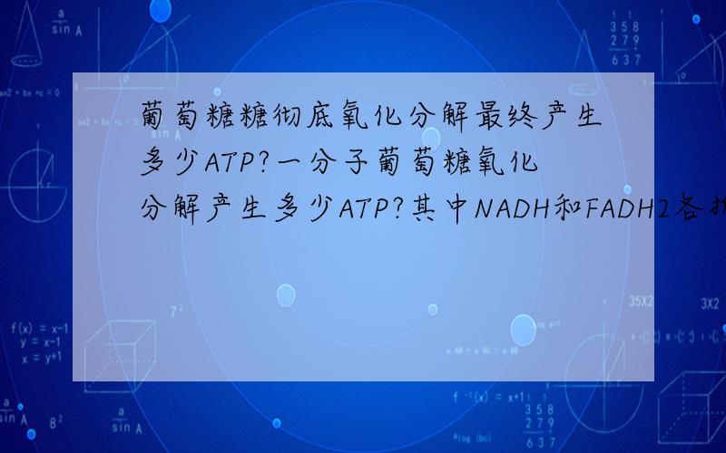葡萄糖糖彻底氧化分解最终产生多少ATP?一分子葡萄糖氧化分解产生多少ATP?其中NADH和FADH2各折合成多少ATP?好像最新的数不是36或38了新版普通生物学上计算好像有错误